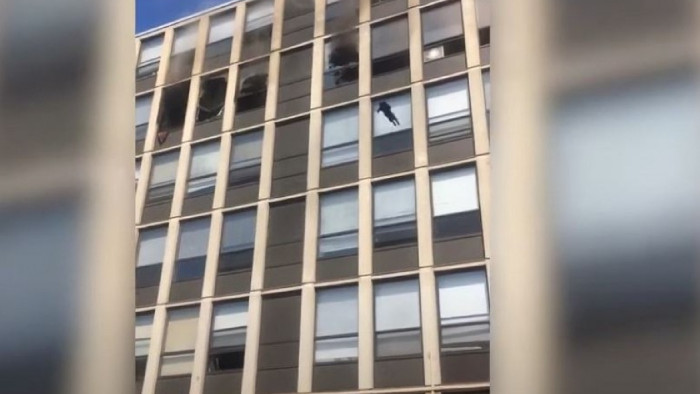 Котка оцеля без драскотина след скок от петия етаж на горяща сграда в Чикаго